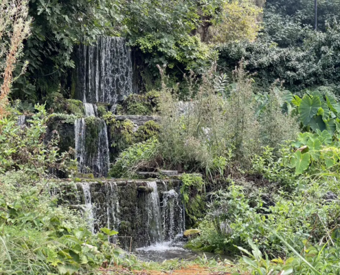 Das Paradies auf Erden